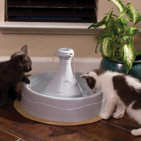 ドリンクウェル360 ペットファウンテン | レンジャース オンライン