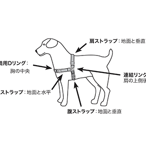 イージーウォークハーネス | レンジャース オンライン