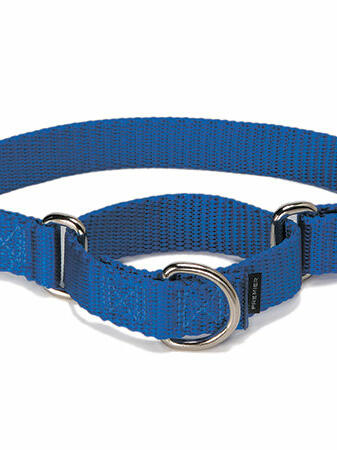 マーチンゲールカラー プレミアカラー 〈 ロイヤルブルー 〉