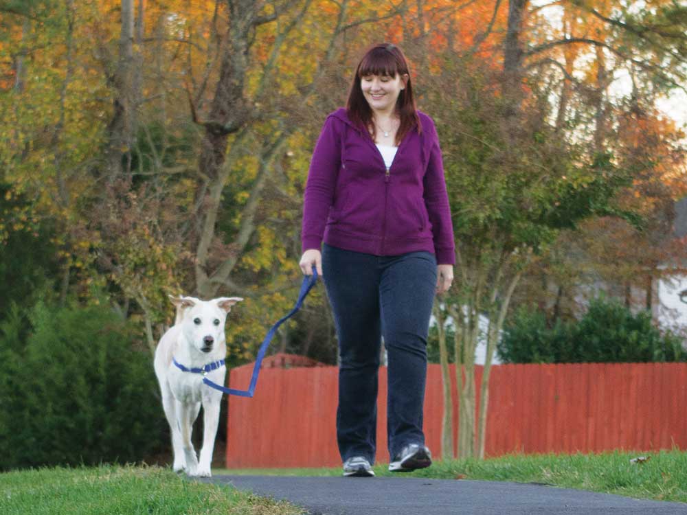 PetSafe イージーウォークハーネス 飼い主とのお散歩シーン 引っ張り軽減