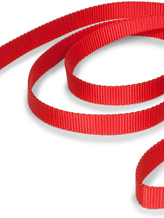 ナイロンリード