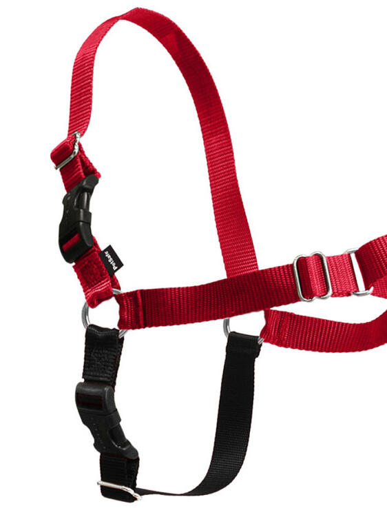 PetSafe イージーウォークハーネス レッド