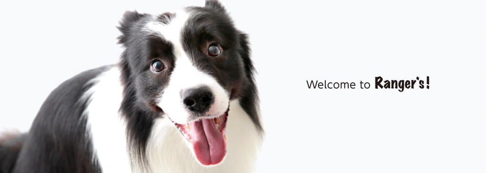 レンジャースについて