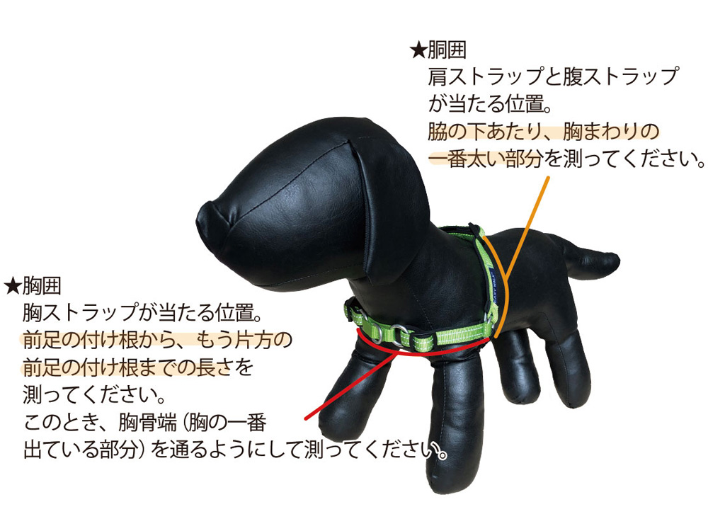 PetSafe イージーウォークハーネス サイズの測り方 ガイド図