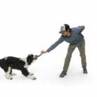 スノークルで引っ張りっこをして遊ぶ犬