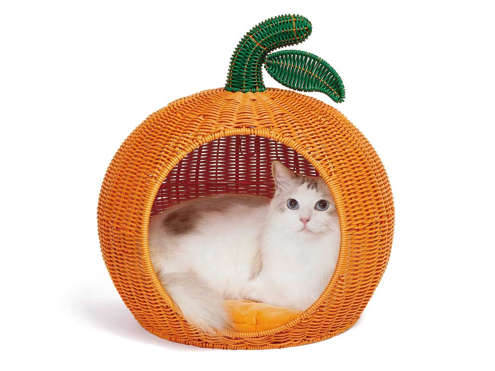 猫用ラタンベッド オレンジとねこ