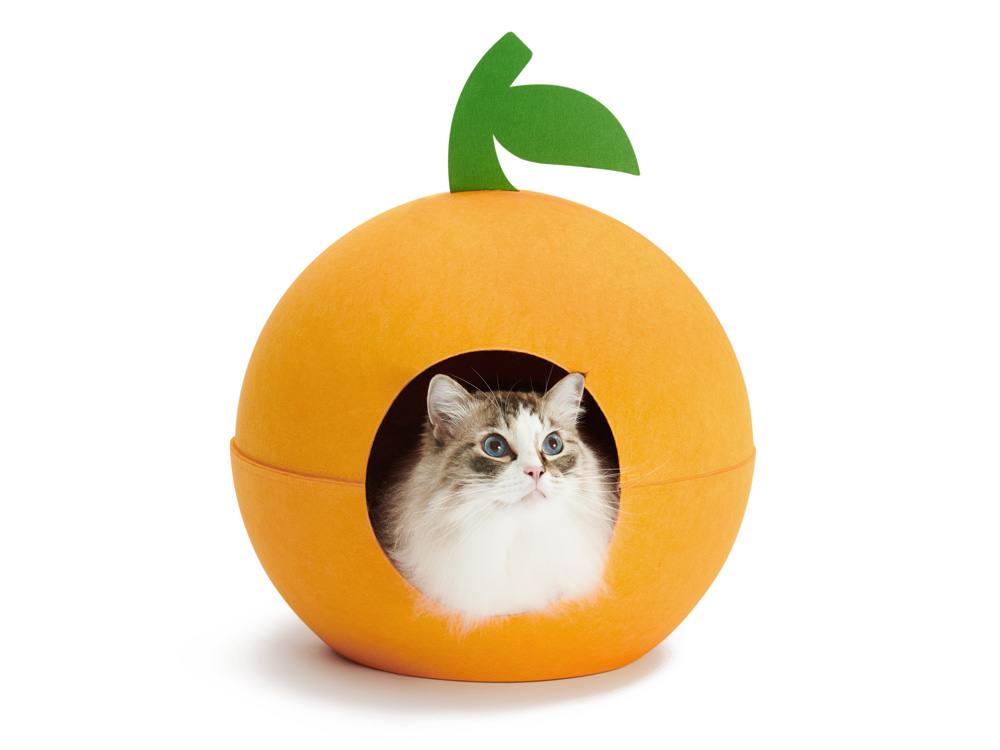 猫用ベッド オレンジと猫