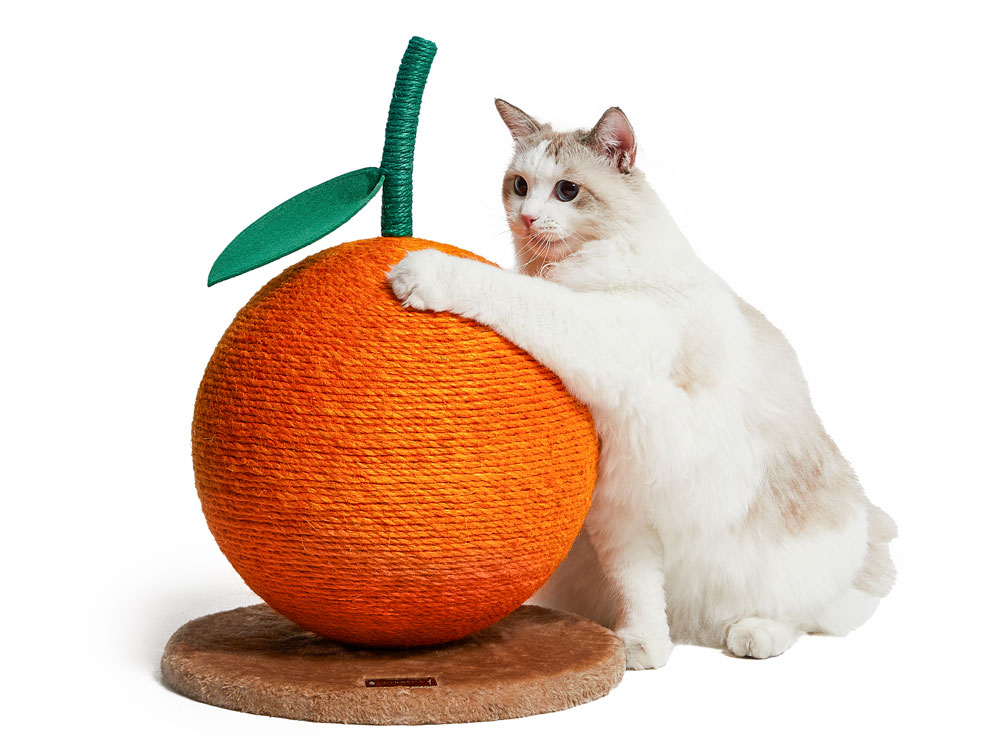 猫用爪とぎ（オレンジ）ねこ2