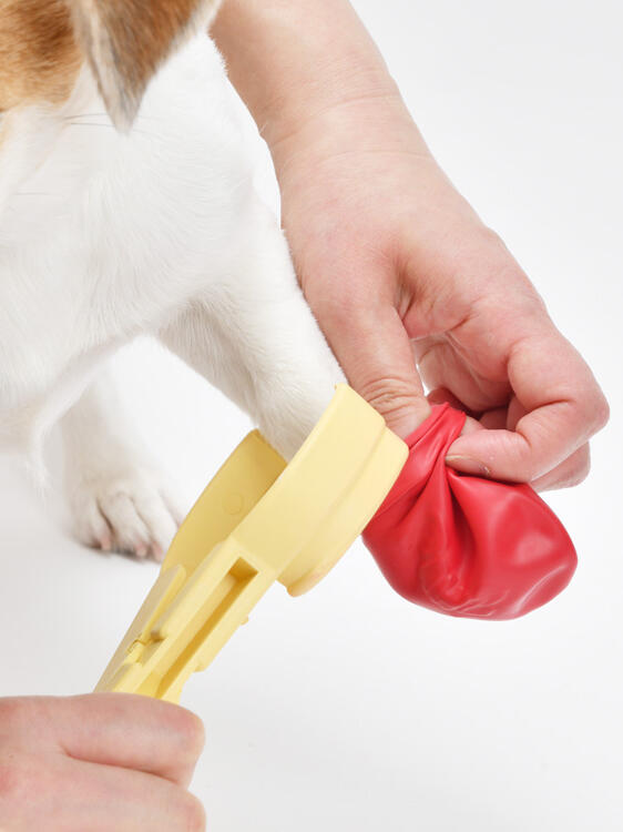 ポウズジョーズを外せば装着完了です