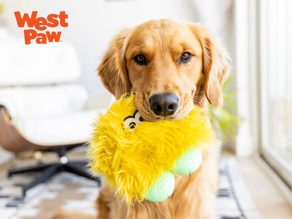 ロウディーズ ロルフと犬